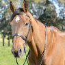 Kincade Kincade Classic Flat Hunt Bridle with Reins