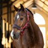 LeMieux LeMieux Vogue Headcollar Ember