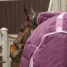 Shires Shires Tempest Original 300 Combo Stable Rug Burgundy