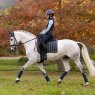 LeMieux LeMieux Loire Classic  Dressage Square Petrol