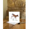 Eleanor Tomlinson Art Eleanor Tomlinson Foaling Around Greeting Card