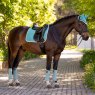 LeMieux LeMieux Suede Dressage  Square Lagoon