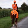 Shires Shires EQUI-FLECTOR Safety Vest Adults