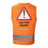 Shires Shires EQUI-FLECTOR Safety Vest Child